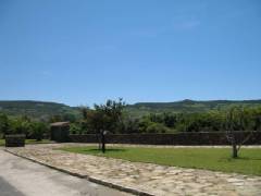 IMG_3377.jpg