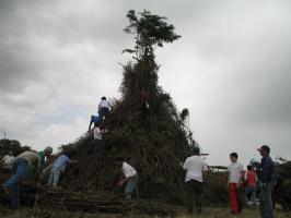 falo-08A041.html