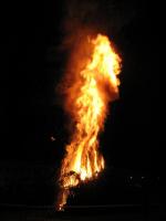 falo-08B011.html
