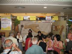 festa-delle-feste008.jpg