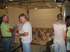 festa-delle-feste018.jpg