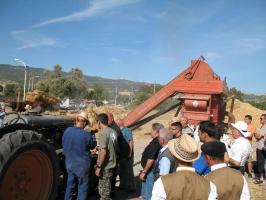 sfilata-sumassaiu-09-071.html