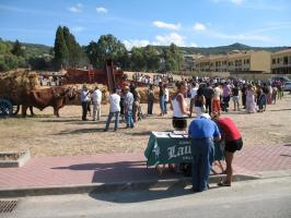sfilata-sumassaiu-09-072.html