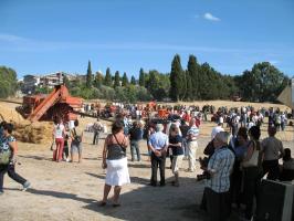 sfilata-sumassaiu-09-078.html