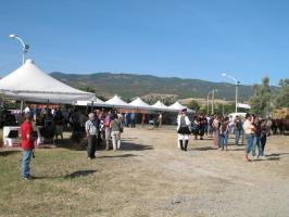 sfilata-sumassaiu-09-080.html