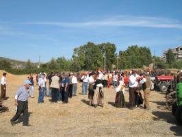 sfilata-sumassaiu-09-082.html