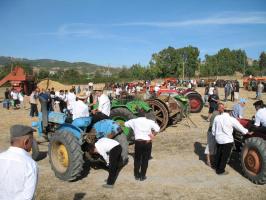 sfilata-sumassaiu-09-084.html