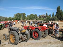 sfilata-sumassaiu-09-086.html
