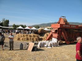 sfilata-sumassaiu-09-088.html