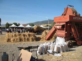 sfilata-sumassaiu-09-089.html
