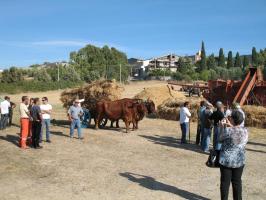 sfilata-sumassaiu-09-093.html