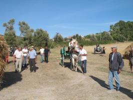 sfilata-sumassaiu-09-096.html