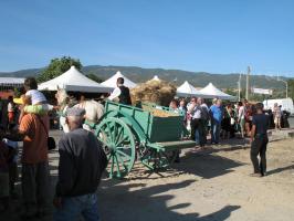 sfilata-sumassaiu-09-097.html