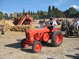 sfilata-sumassaiu-09-103.html