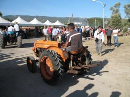 sfilata-sumassaiu-09-114.html