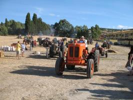 sfilata-sumassaiu-09-123.html