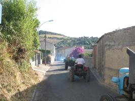 sfilata-sumassaiu-09-200.html