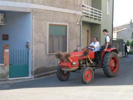 sfilata-sumassaiu-09-216.html