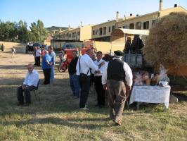 sfilata-sumassaiu-09-311.html