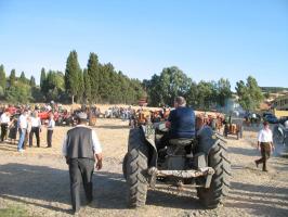 sfilata-sumassaiu-09-317.html