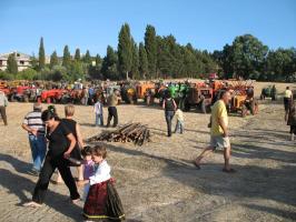 sfilata-sumassaiu-09-320.html