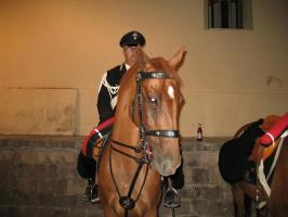 san-crispo(2123).html