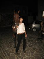 san-crispo(2127).html