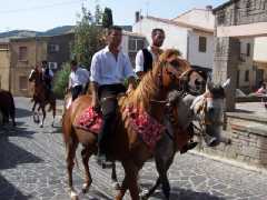 processione_003.jpg