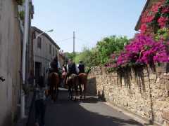 processione_065.jpg