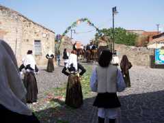 processione_102.jpg