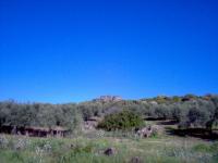 Nuraghe Bau Mendua