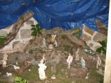 IMG_2217.jpg