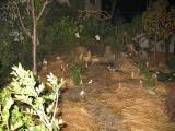 IMG_2245.jpg