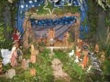 IMG_2252.jpg