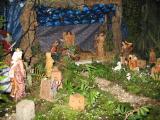 IMG_2254.jpg