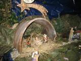 IMG_2262.jpg