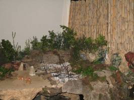presepe05.jpg