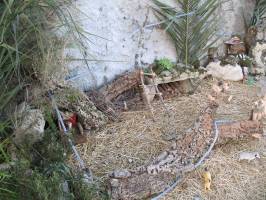 presepe25.jpg