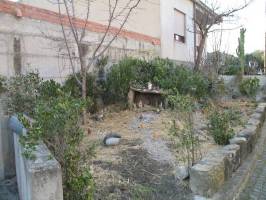 presepe38.jpg