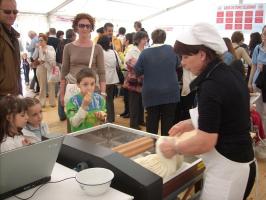 vercelli-(158a.html