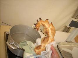 vercelli-(170.html