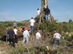 IMG_3062.jpg