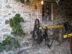 sagra-07A-097.jpg