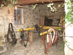 sagra-07A-098.jpg
