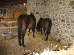 sagra-07A-099.jpg