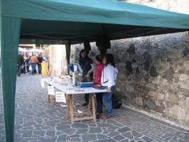 sagra-2009(1019).html
