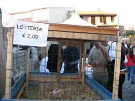 sagra-2009(1024).html