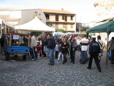 sagra-25-10-09(2078).html