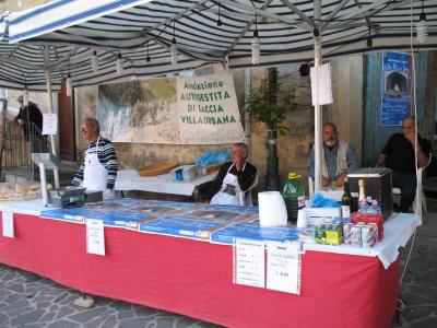 sagra-25-10-09(2093).html