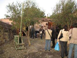 sagra-2009(1157).html